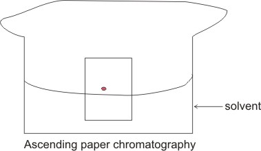 ascending paper chromatography
