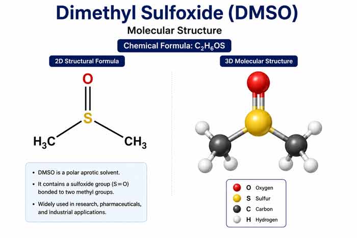 Molecular Structure of DMSO